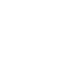 Stichnote - Sanierung der Dachfenster, Dämmung, Brandschutz und Trockenbauwände - Häkchen-Symbol